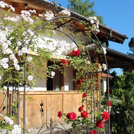 Apartmán Appartementhaus Schirsner - Direkt Am & Am Kurpark *